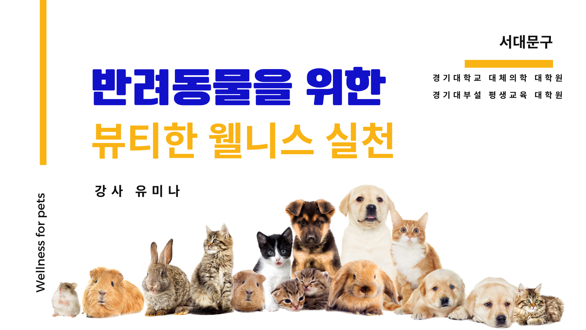 유미나 강의자료 표지: 반려동물을 위한 뷰티한 웰니스 실천