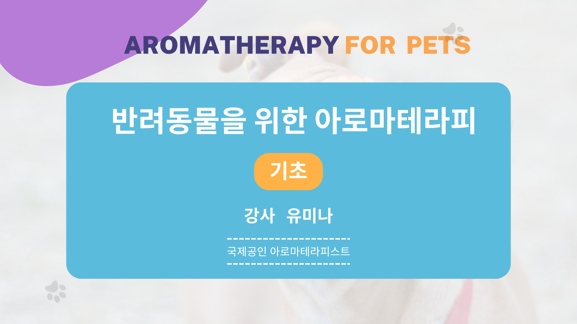 유미나 강의자료 표지: 반려동물을 위한 아로마테라피 — 기초